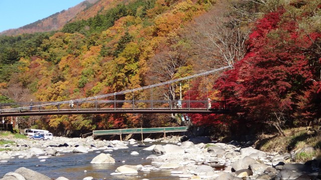 12182399_1671203319758467_8739239752884781436_o