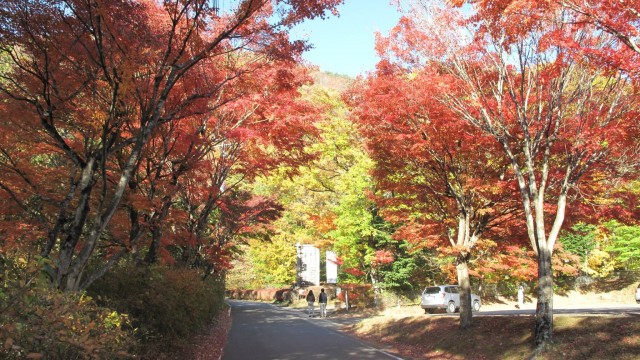 12182548_1671026476442818_4509053699398504192_o