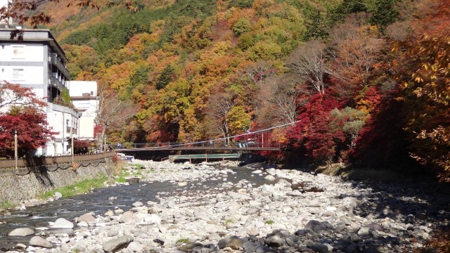 12182786_1671203289758470_2140132634518139423_o