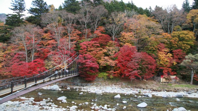 12183779_1671435529735246_2968958016065817593_o