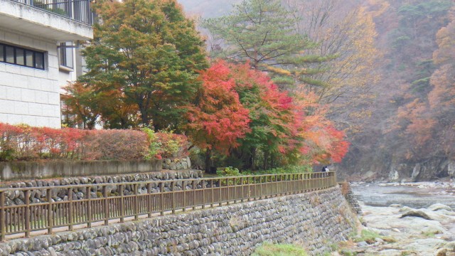 12183824_1672308209647978_664160569046727537_o