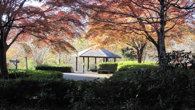 12183934_1671026583109474_4486555766659701745_o