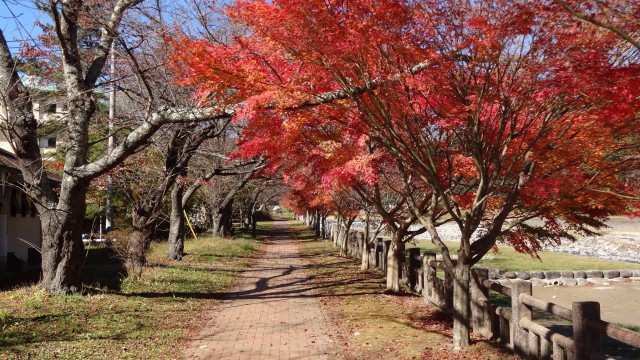 12184061_1671203719758427_6715807676090818337_o