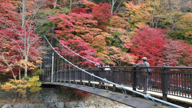 12184264_1671435783068554_535614530816725579_o