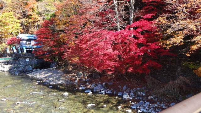 12185390_1671202843091848_6150911614632716083_o