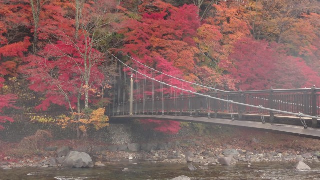 12185580_1672067306338735_5164330892088564869_o