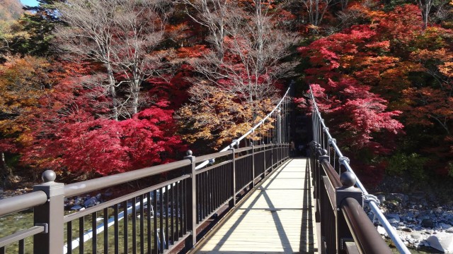 12188190_1671203066425159_1192805696728868914_o