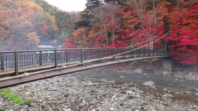 12191154_1672067349672064_8963638376158836859_o