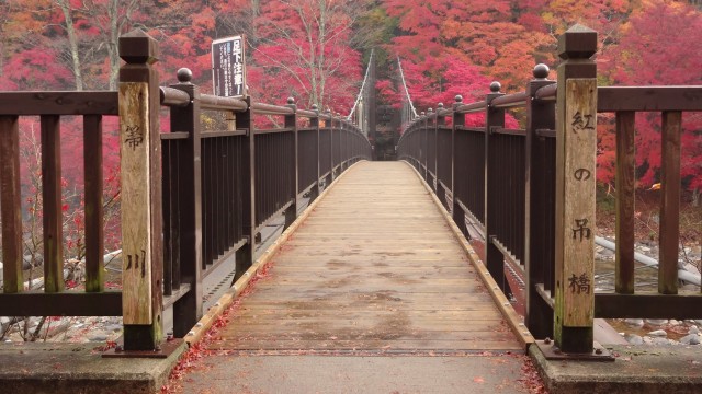 12191263_1672067133005419_8263361171528963258_o