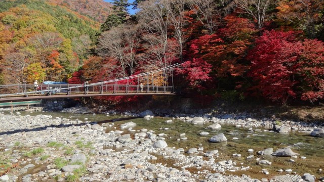 12194559_1671203069758492_1993243476010617727_o