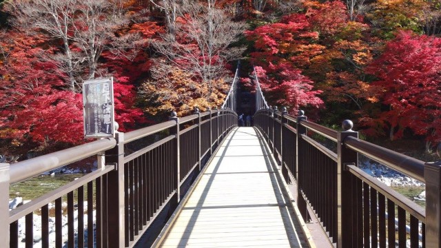 12194813_1671202819758517_7984745548737534523_o