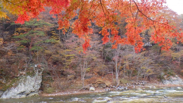 12240814_1672308029647996_145616278768129327_o