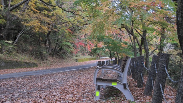 12240933_1672863852925747_8500887448821992015_o