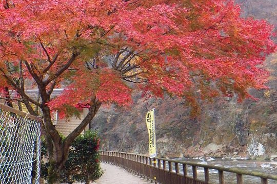 12241695_1672307962981336_204137608419291997_n