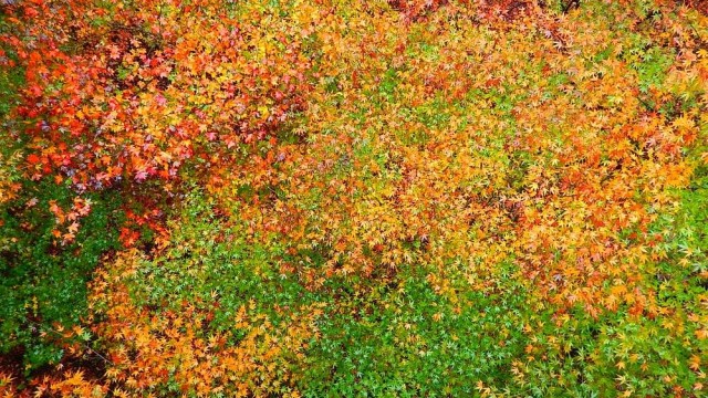 12307319_920002014756782_580024116377378897_o