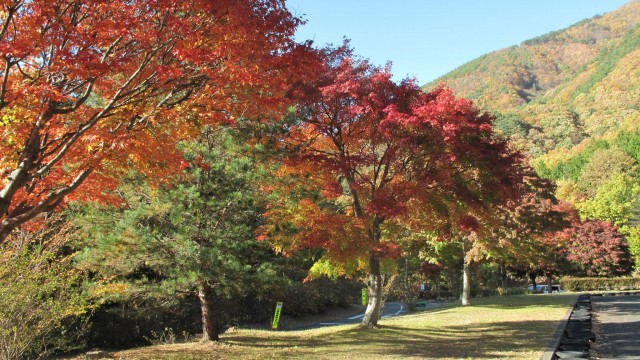 1890525_1671026819776117_6797599087600095039_o