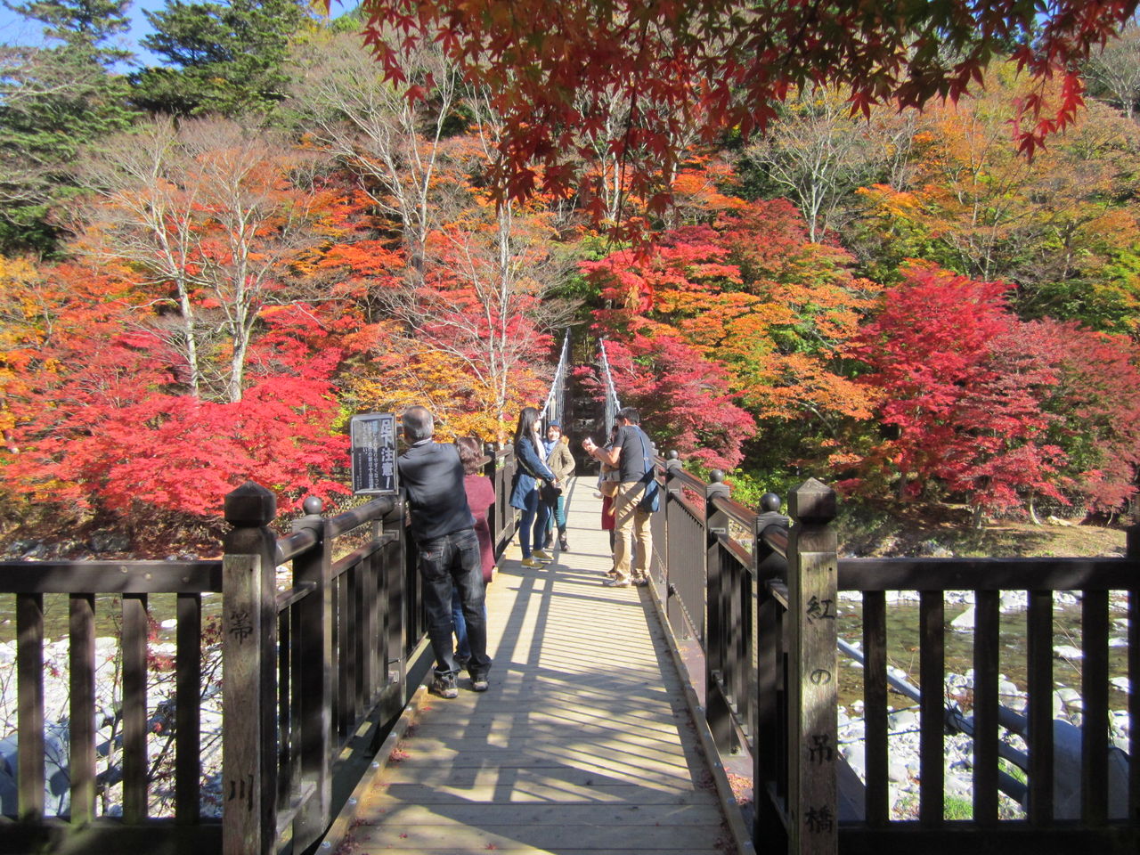 １１月４日 塩原温泉 紅の吊橋 紅葉情報 那須塩原の観光情報 公式 ココシル那須塩原