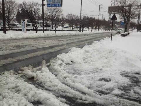 12418010_443973069144999_6111738016098283727_n