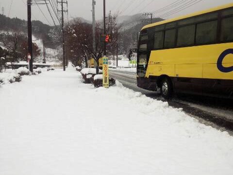 12549129_443973059145000_8712448607351671547_n