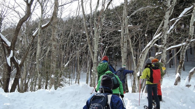 12622506_1693522067526592_1817764884469254436_o