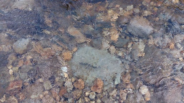 12744485_1747498735482591_1554496046927002824_n (1)