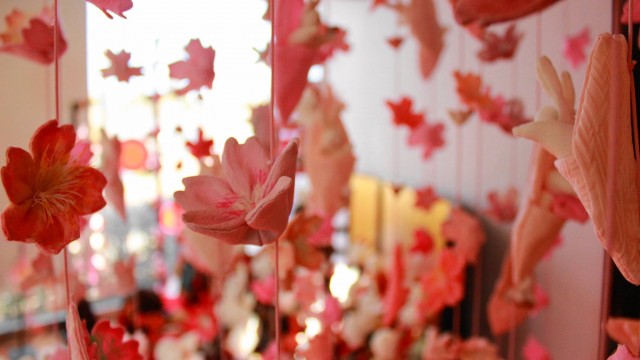 12377813_465312113677761_5658945551269247453_o