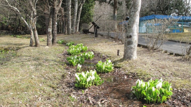 12440576_1715362052009260_4494032384273345774_o