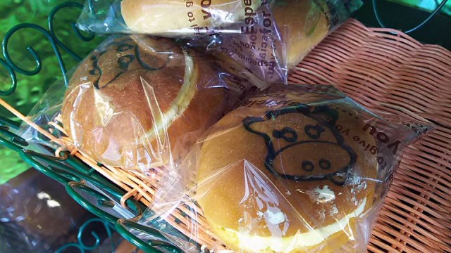 12524351_939492929462287_7112856572715946701_n