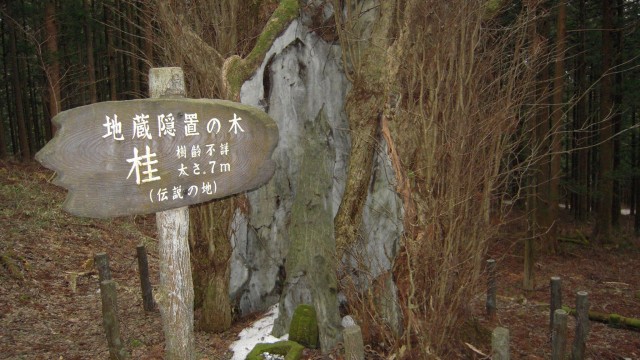 12771986_1748558545376610_8259370612555638119_o