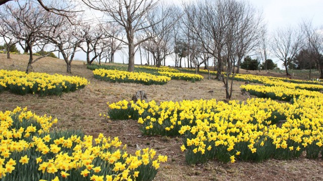 12888509_466773580198281_353945755015427129_o