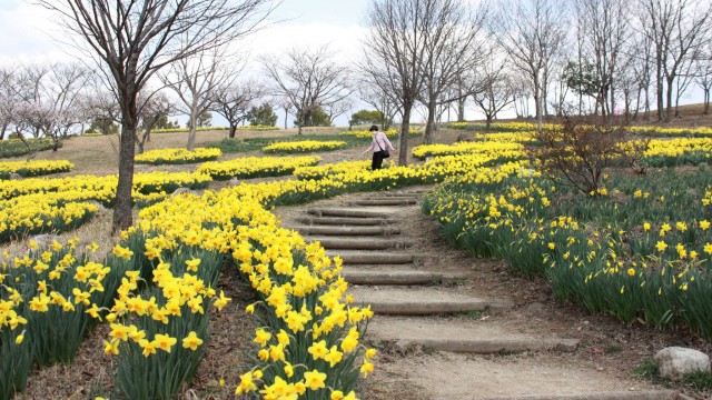 12916196_466773783531594_7531362155763800028_o