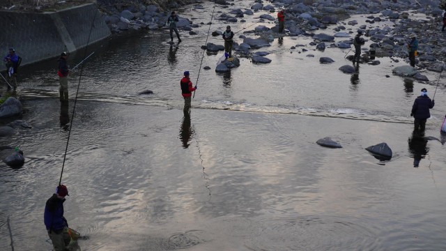 12901503_476756619176124_309587577805888070_o