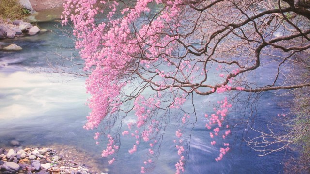 12916834_1718168071728658_673296150344872171_o