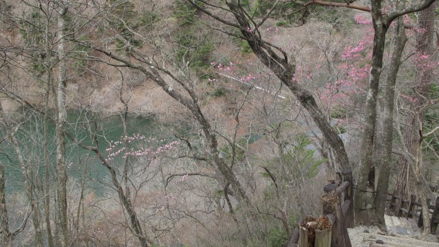 12961374_1719557848256347_6177458394606369674_o