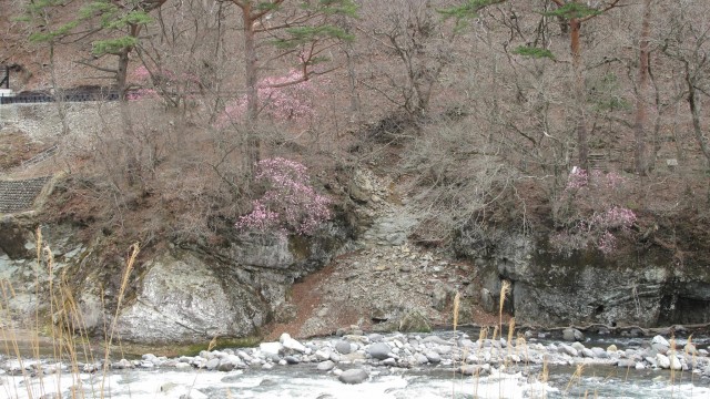 12971039_1719558171589648_3382512127020400768_o