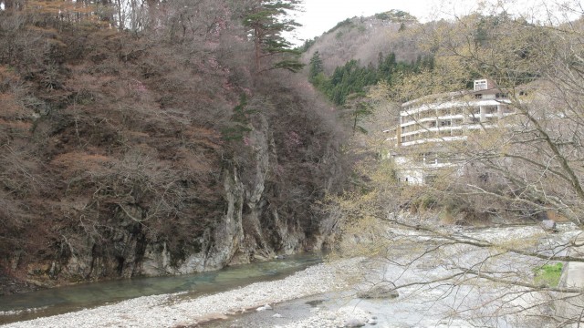 12976811_1719558208256311_1499970643473214972_o