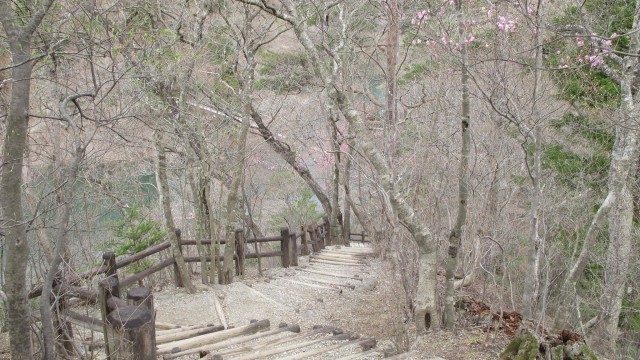 12977022_1719558194922979_4108034683232857356_o