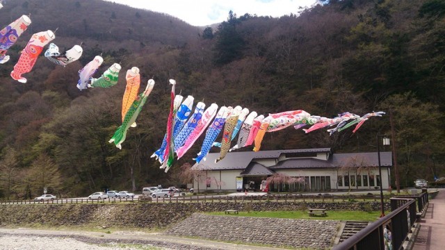 13007349_1768639303368534_5931124808850317655_n