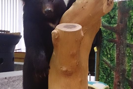 13012778_1771346059764525_1750124591389123665_n