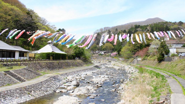 13029651_476503199225319_6339297854501118999_o