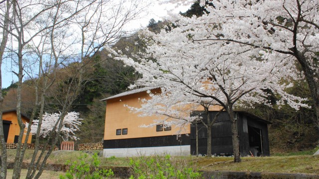 13040856_474429246099381_4927210960824954649_o