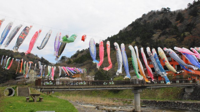 13047971_474429476099358_4316535857623189952_o