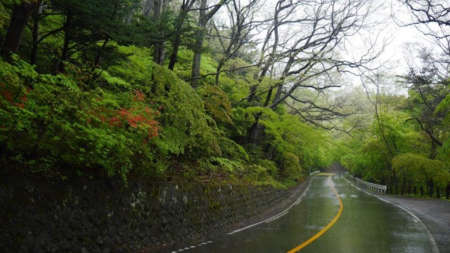 13096158_485470068304779_7810854148871033204_n