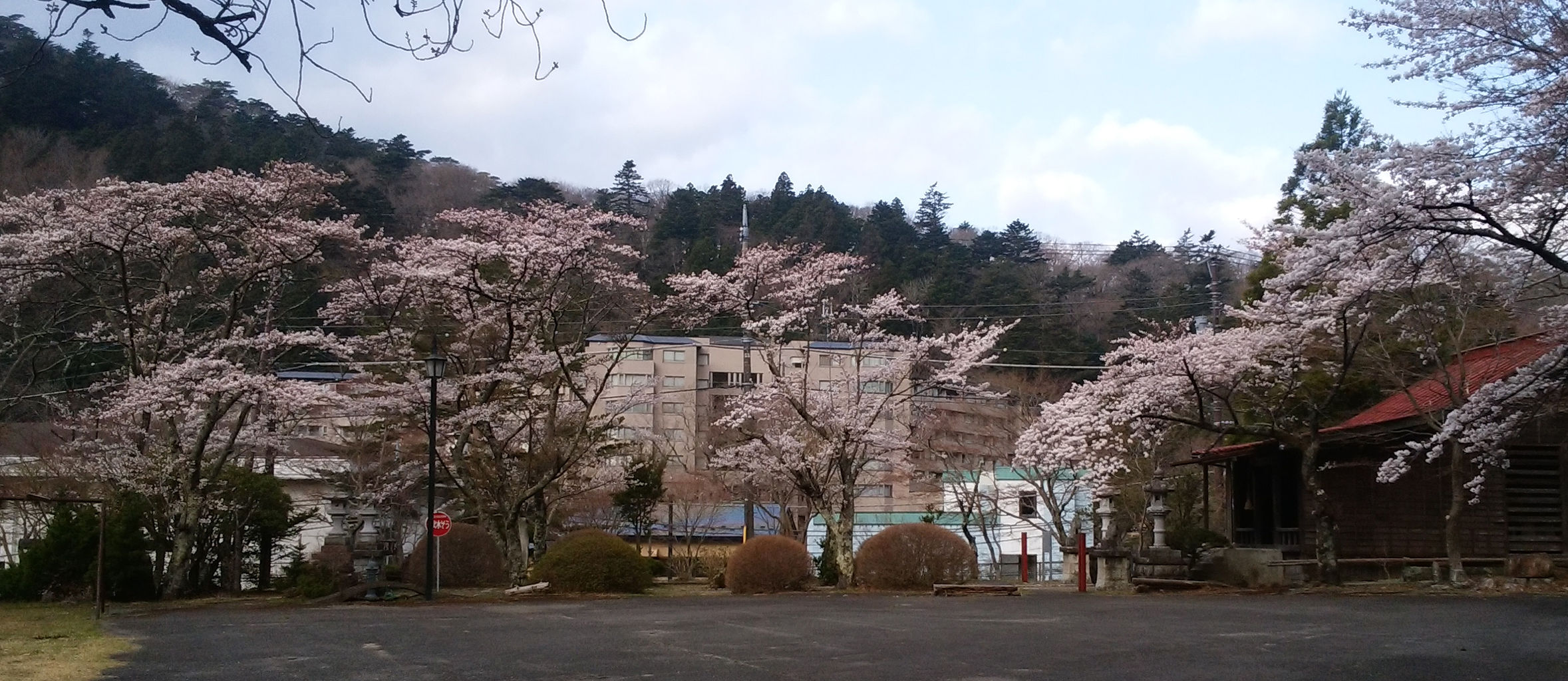 塩原温泉 桜情報 那須塩原の観光情報 公式 ココシル那須塩原