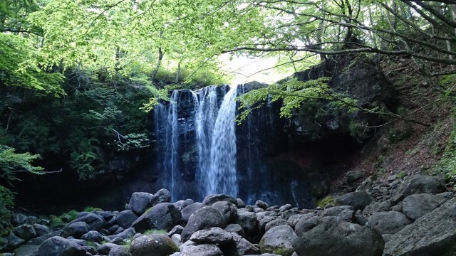 12440759_1783603995205398_6781473846337159169_o