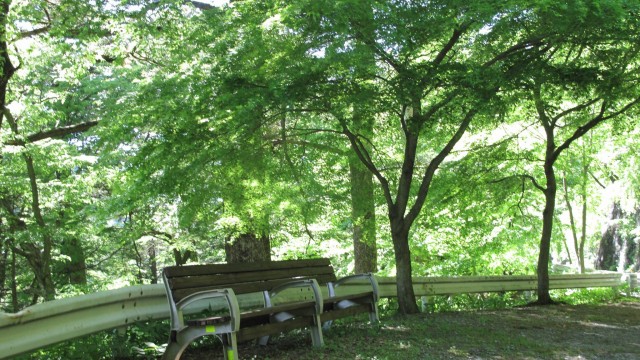 13173097_1731788813699917_4813063797463028223_o