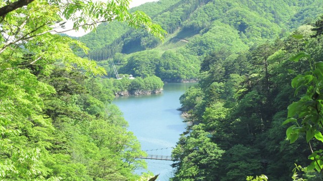 13173357_1731788790366586_8311682975956838316_o