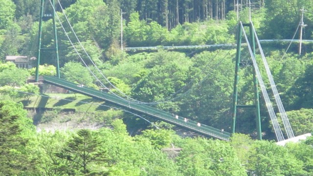 13235369_1731788677033264_7664791944361626073_o