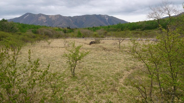 13235645_1783604028538728_7474725254620421024_o