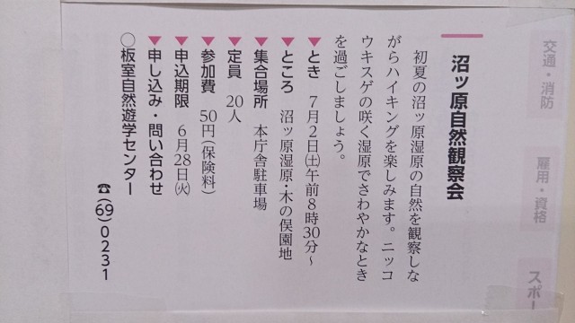 13305097_1787432394822558_6056983662134442050_o